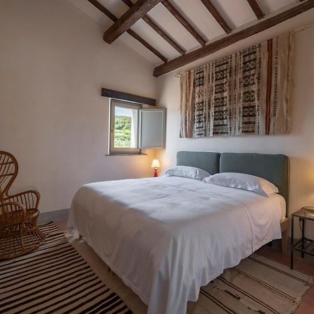 Locanda Fontelupa Campagnatico Chambre photo